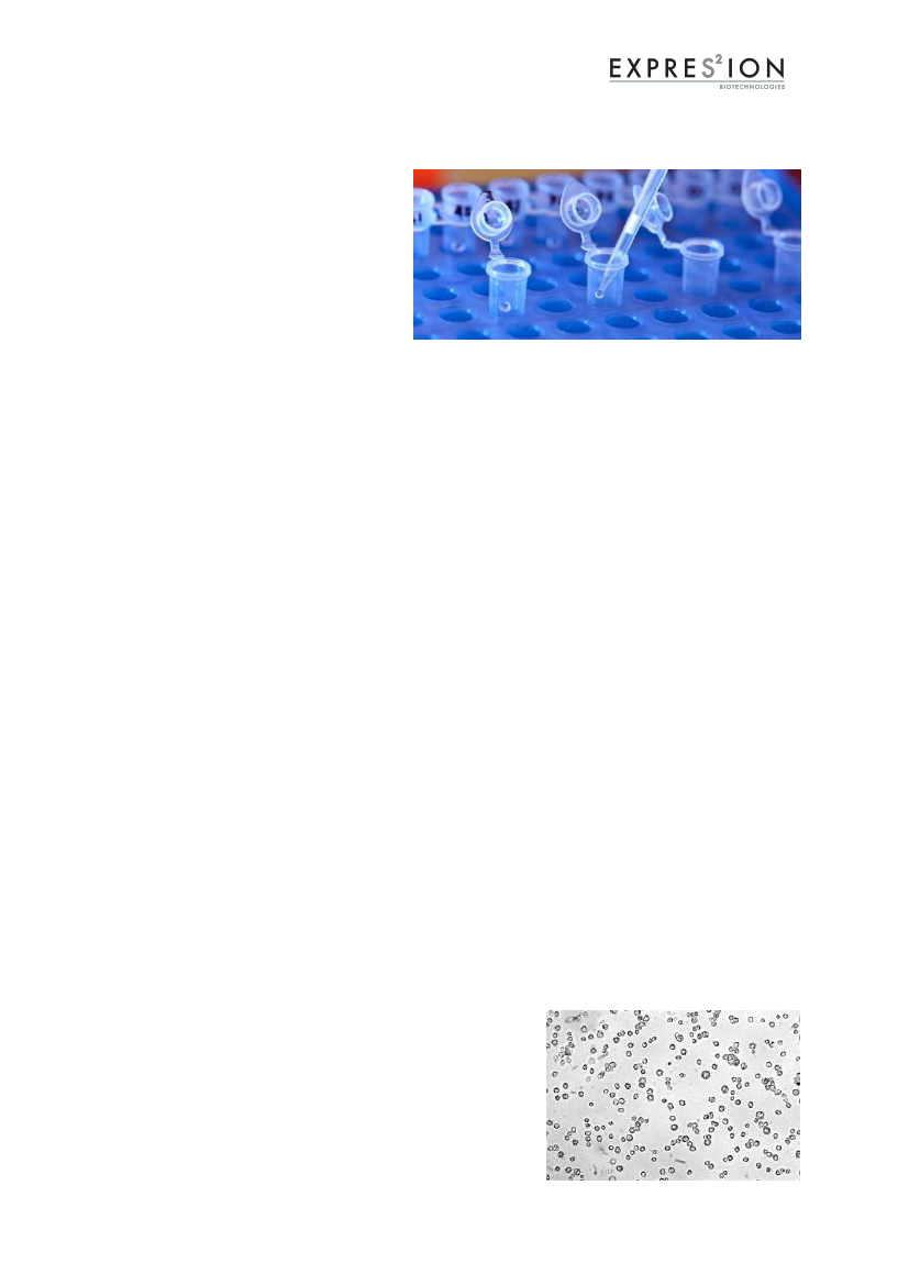 2951644_0194.png