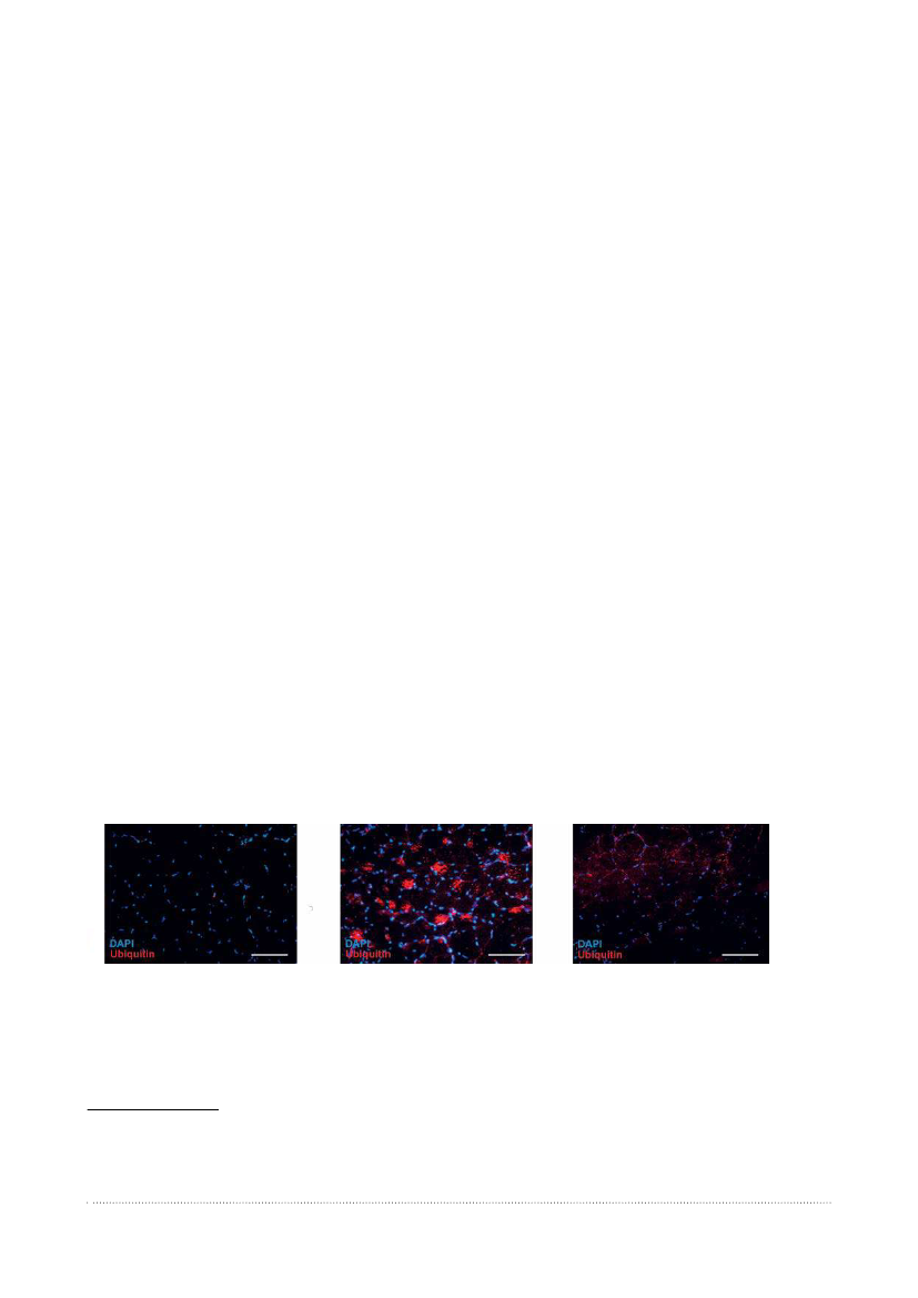 2951644_1385.png