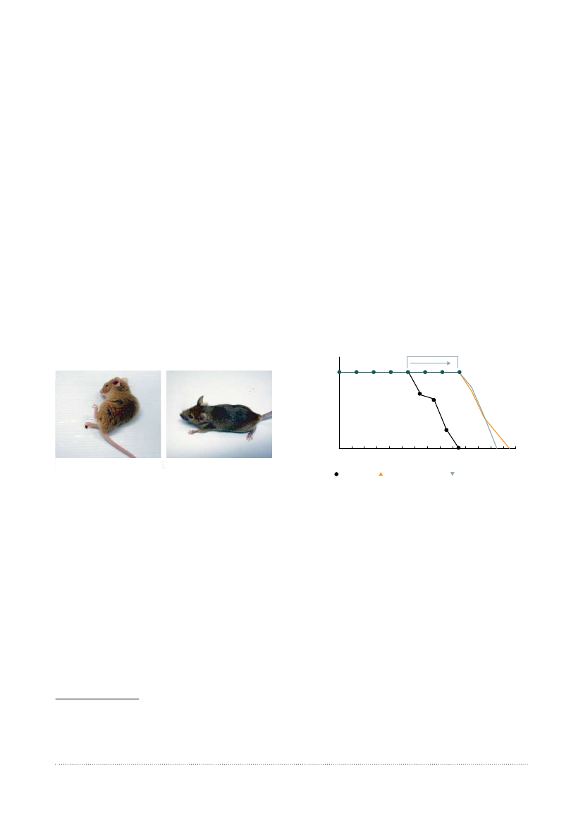 2951644_1388.png