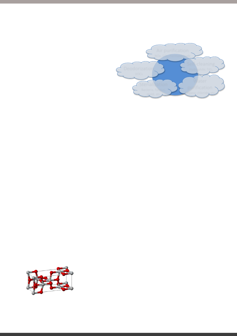 2951644_1542.png