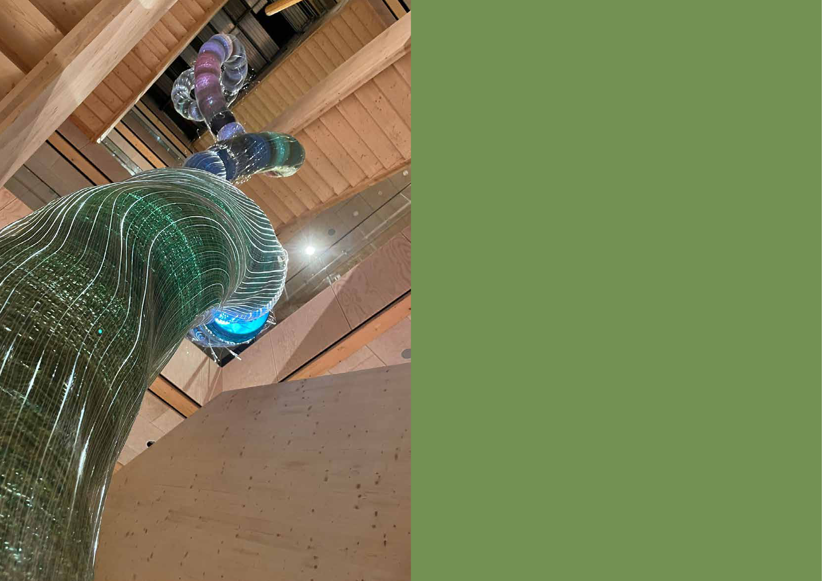 2993366_0031.png