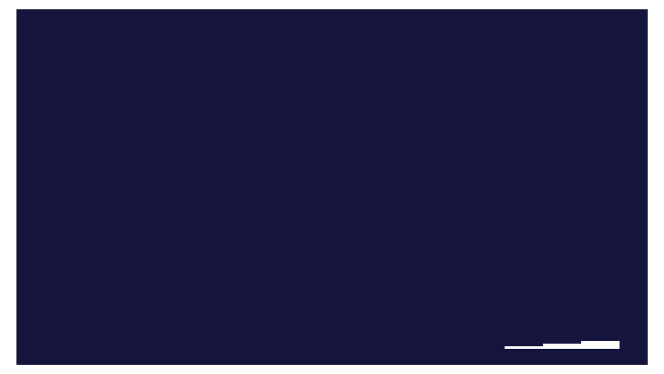 2996098_0001.png