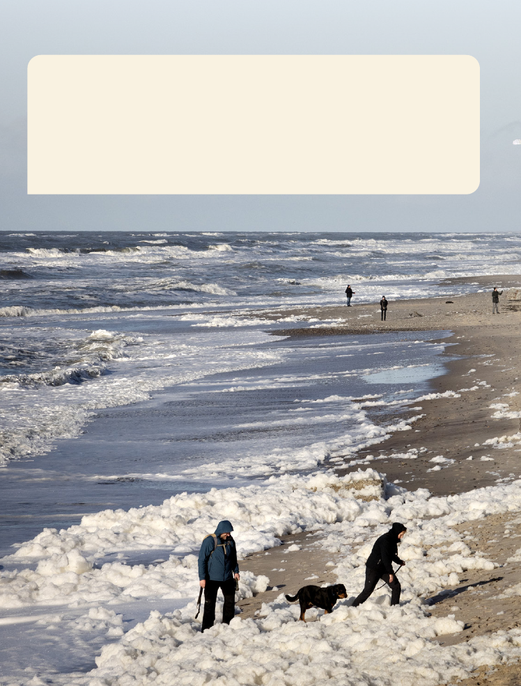 2997824_0048.png