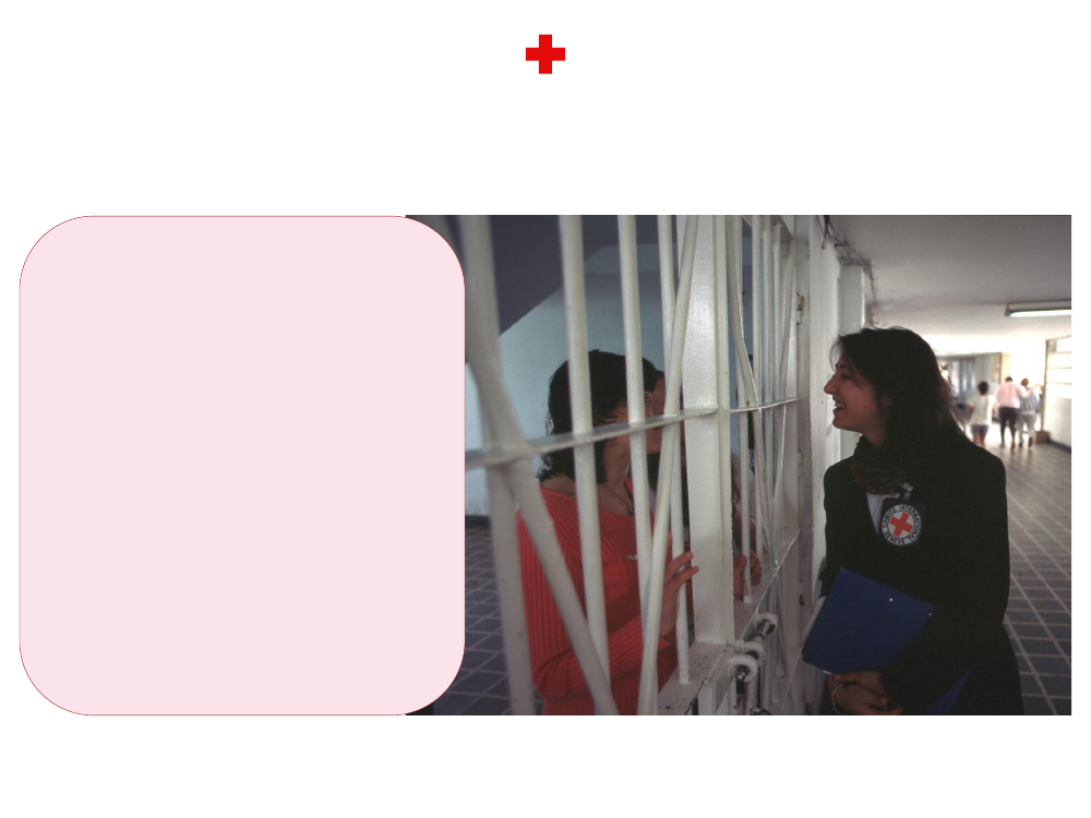 3001599_0002.png
