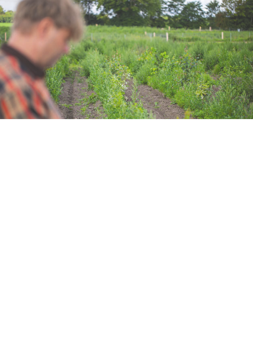 3003413_0015.png