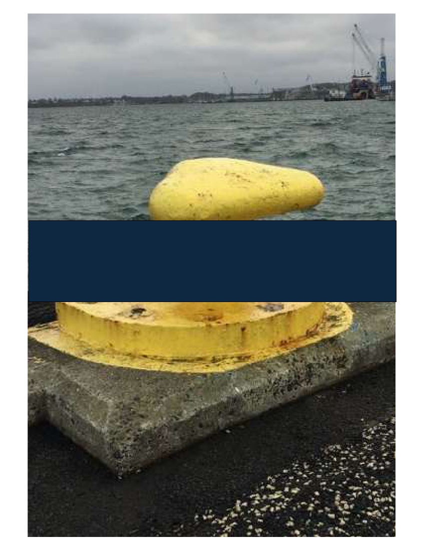 3005166_0001.png