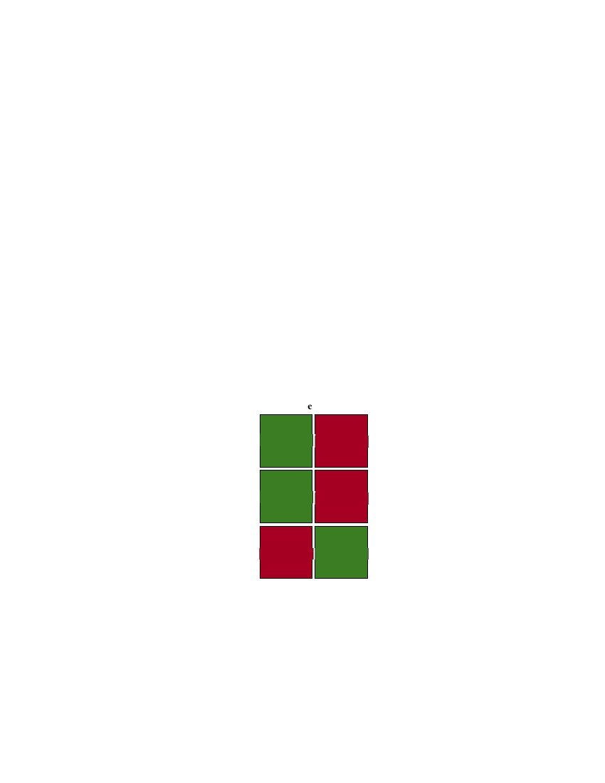 3005166_0013.png