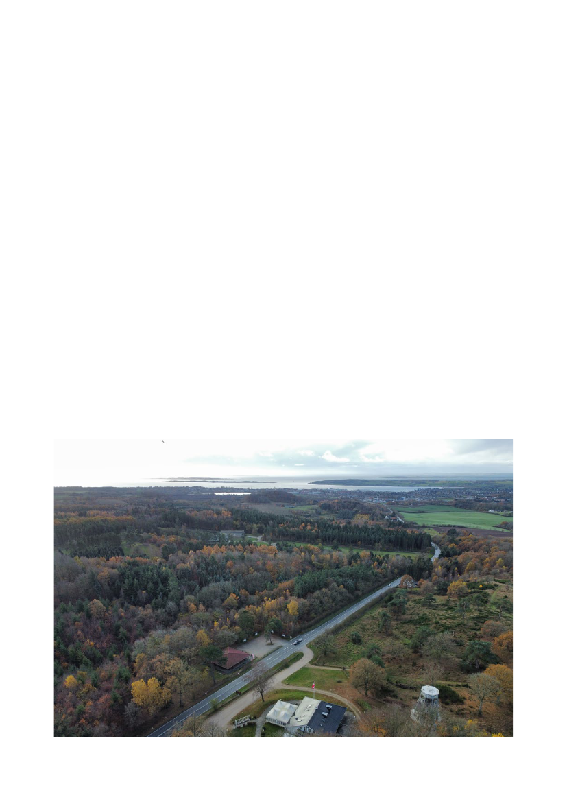 3005967_0010.png