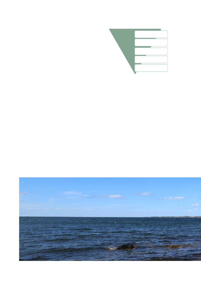 3005967_0032.png