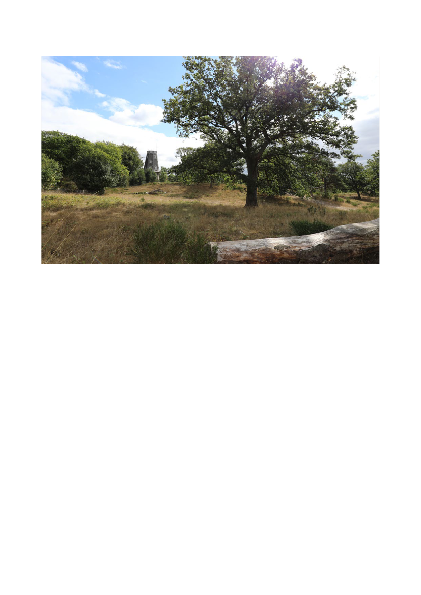 3005967_0065.png