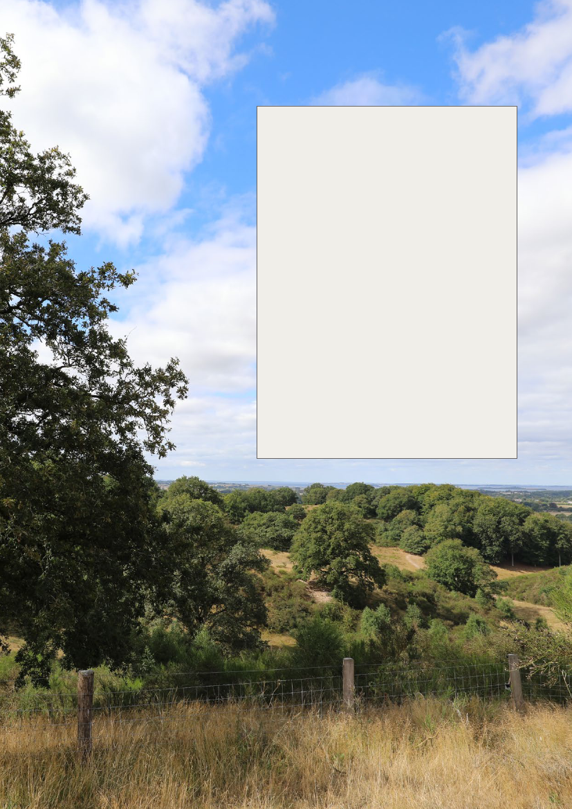 3005967_0067.png