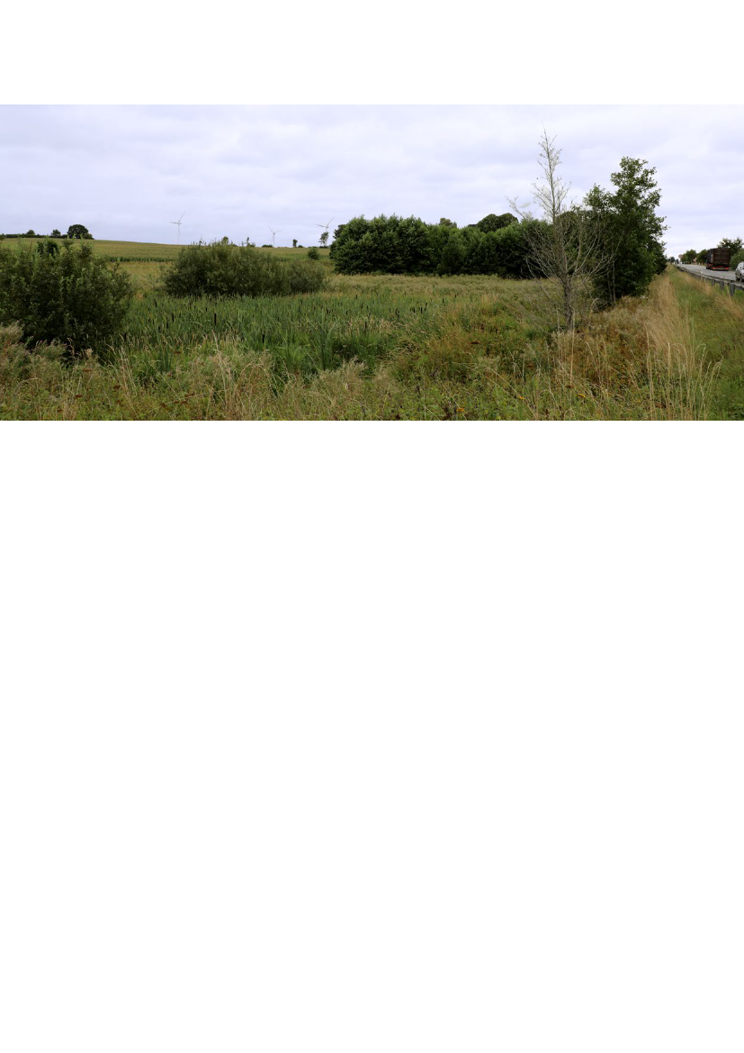 3005967_0077.png