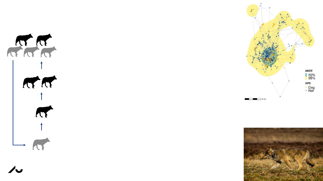 3017364_0003.png