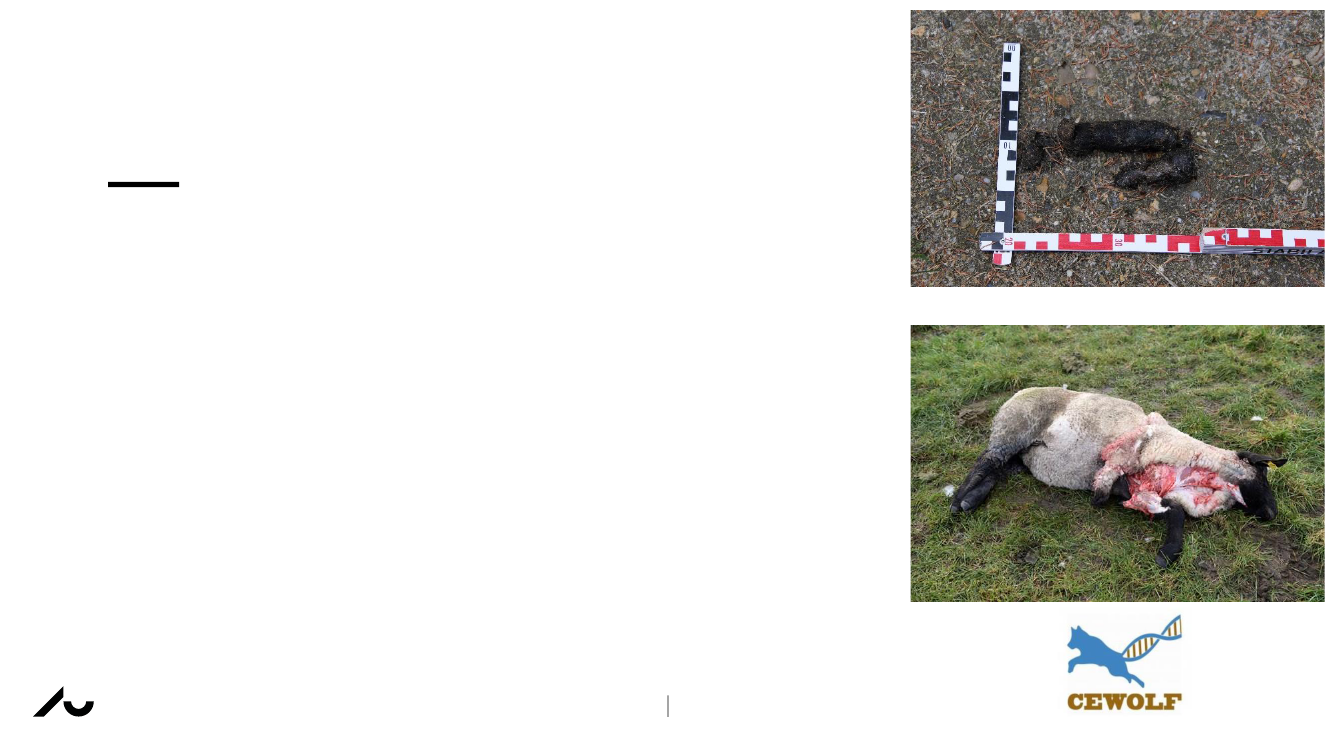 3017364_0008.png