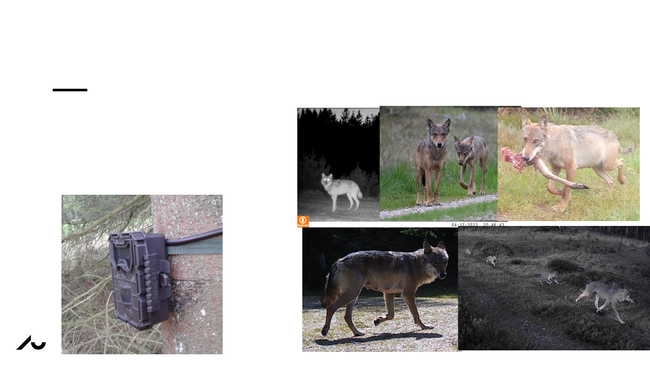 3017364_0009.png
