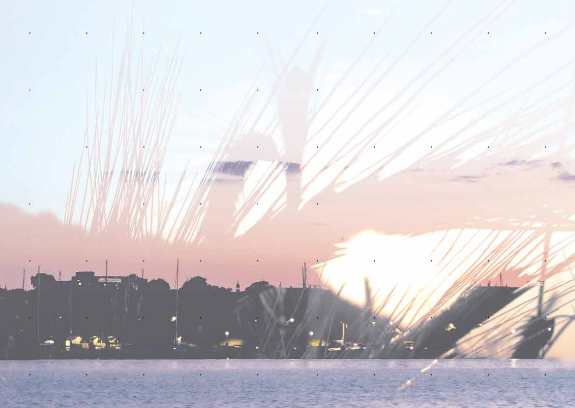 3018863_0036.png