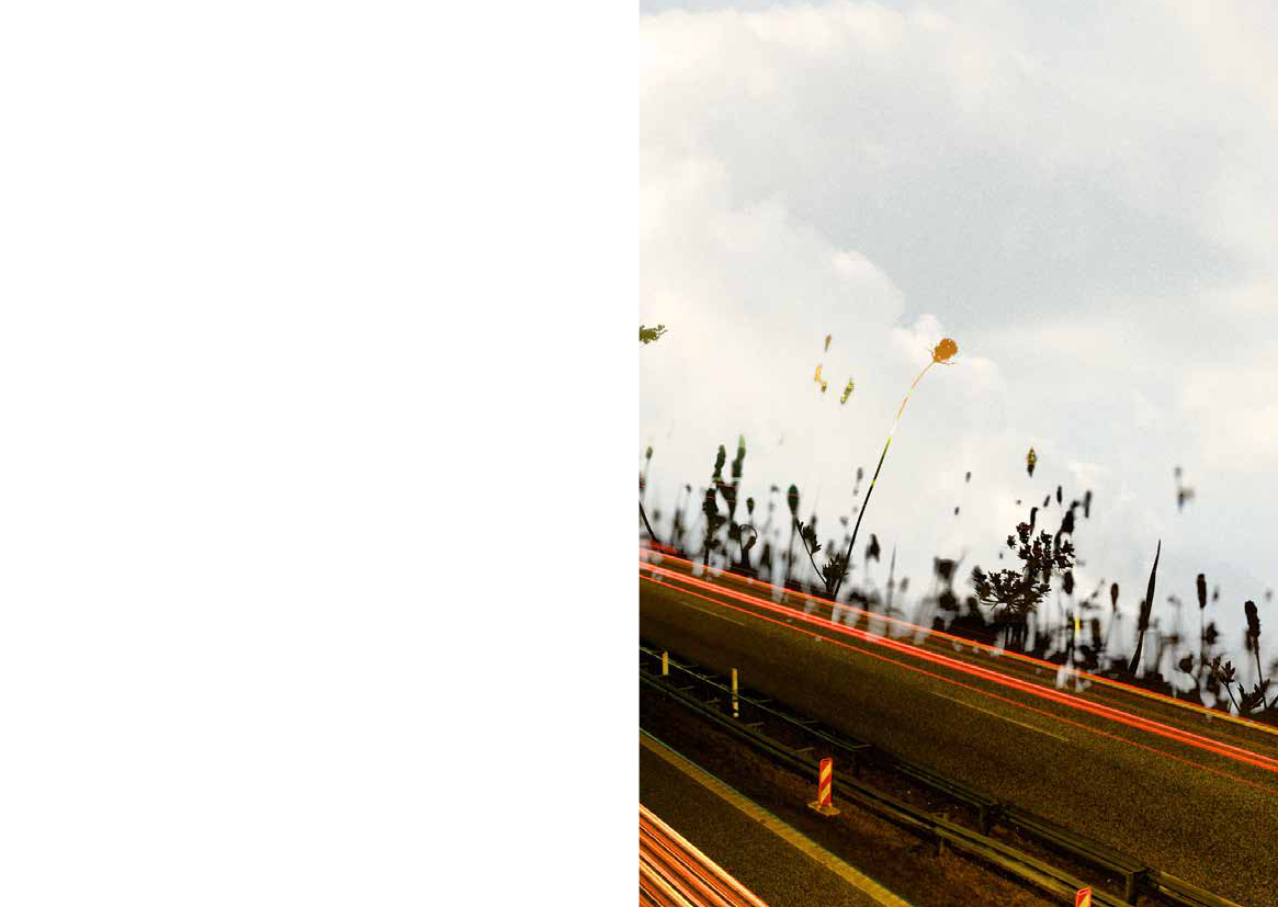 3018863_0112.png