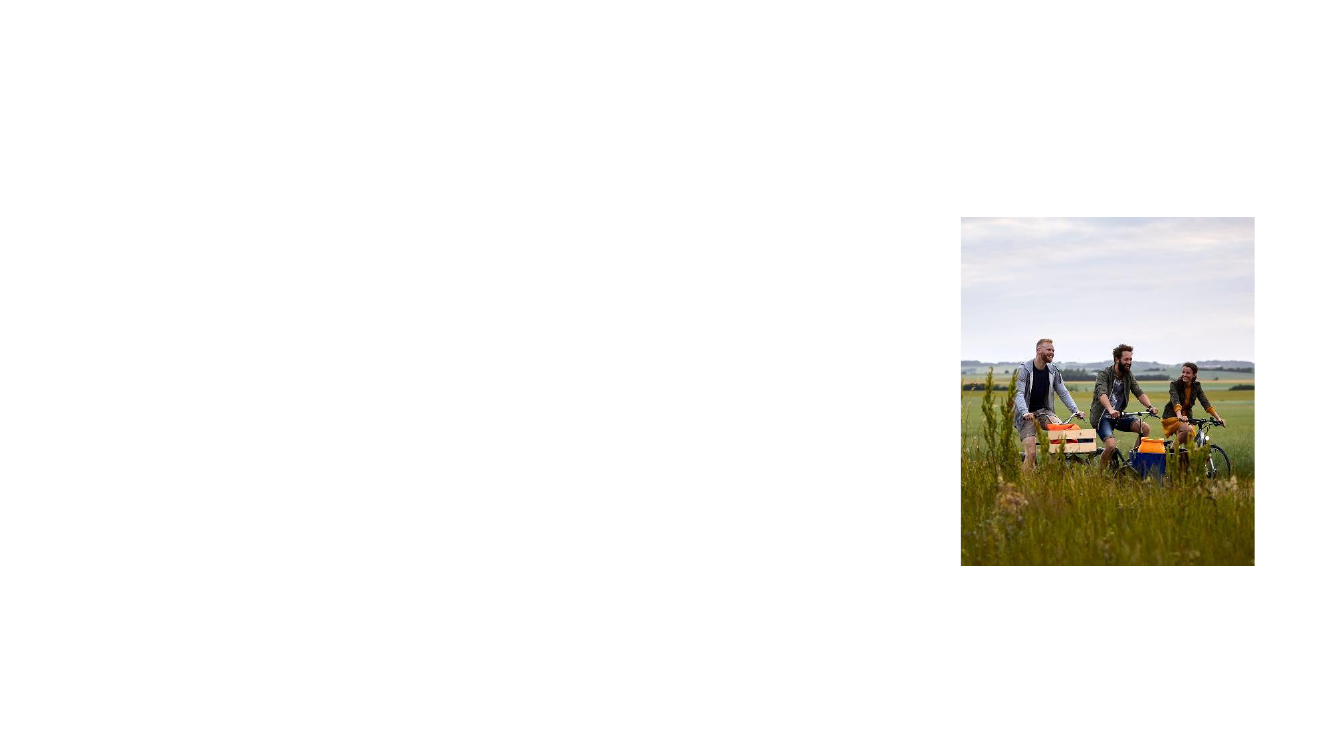 3026472_0006.png