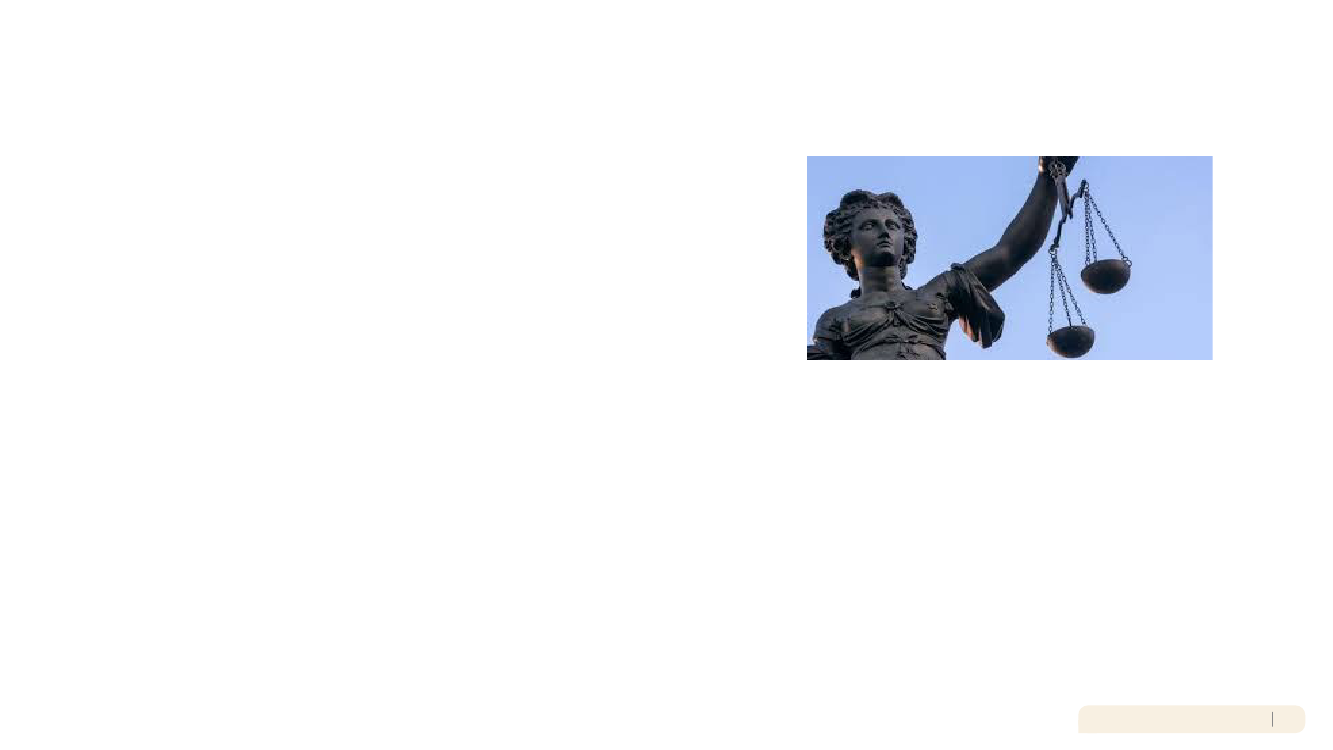3029394_0013.png