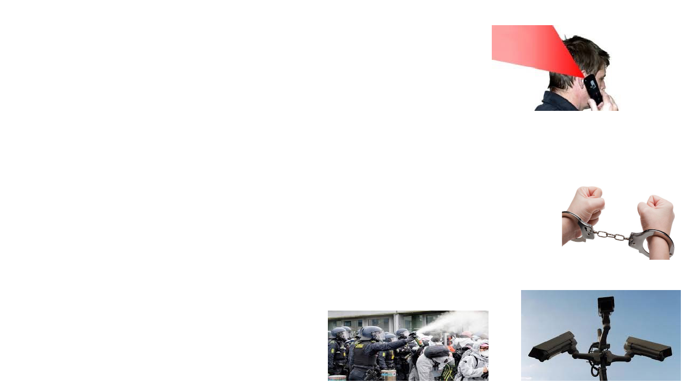 3029394_0015.png