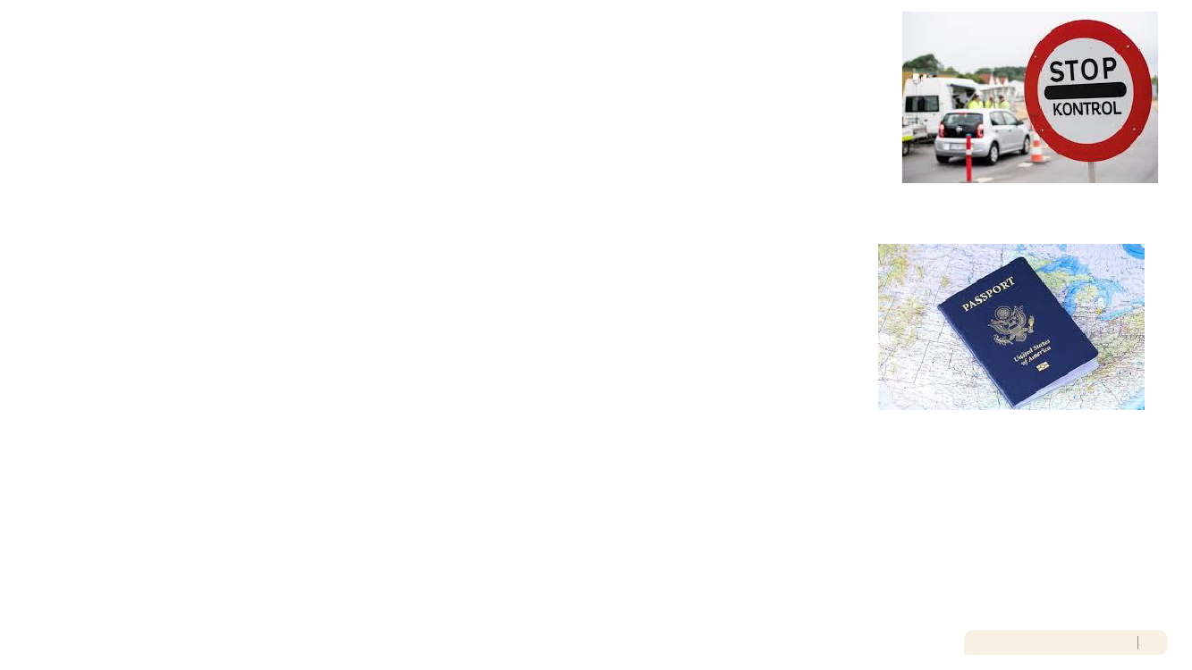 3029394_0016.png