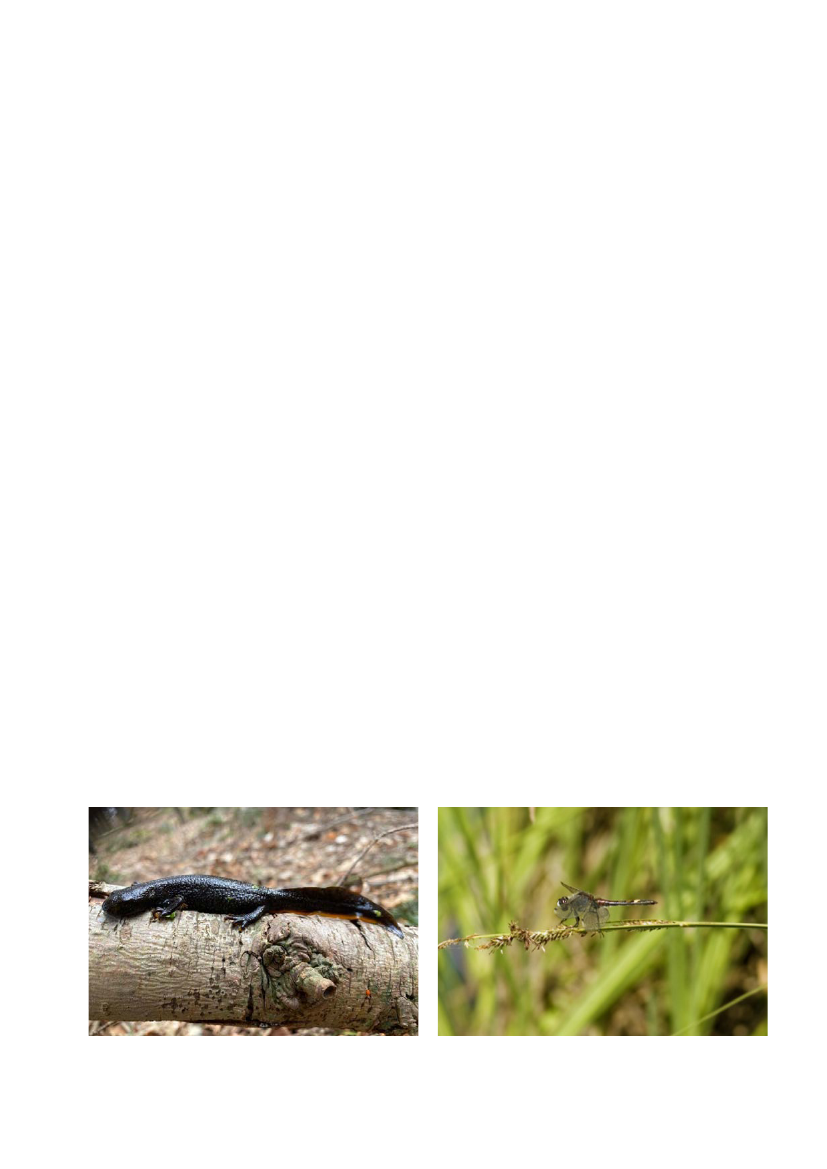 3029828_0023.png