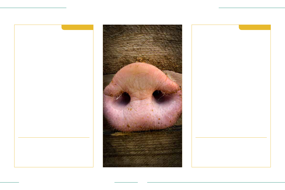 3033024_0048.png