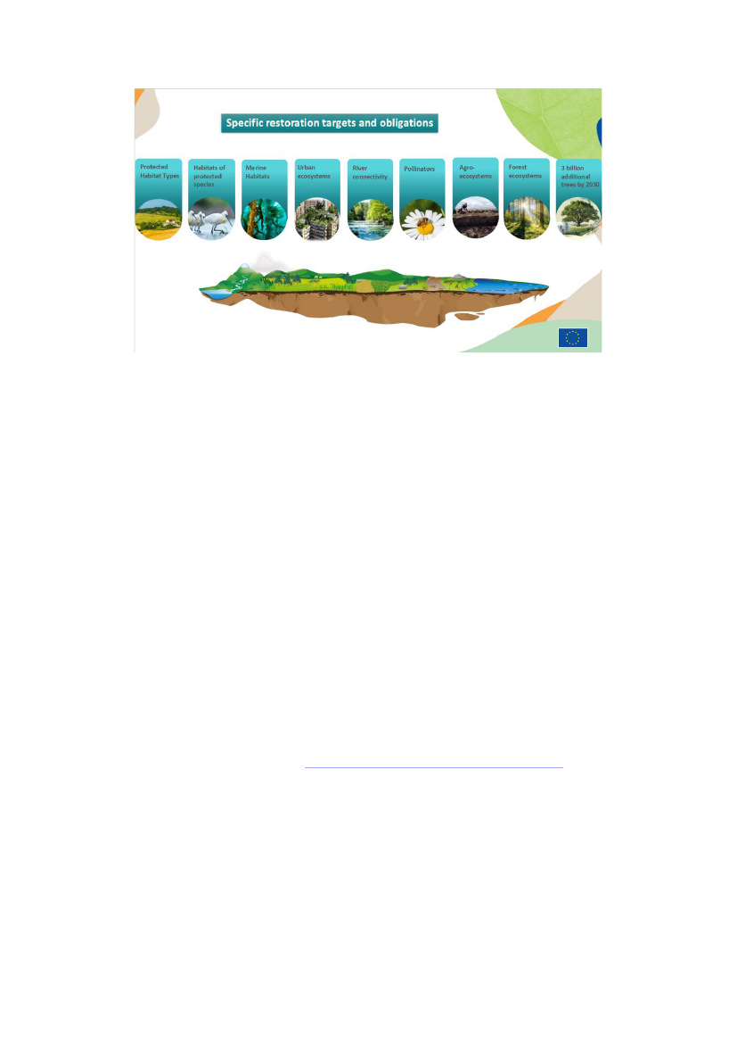 3039751_0005.png