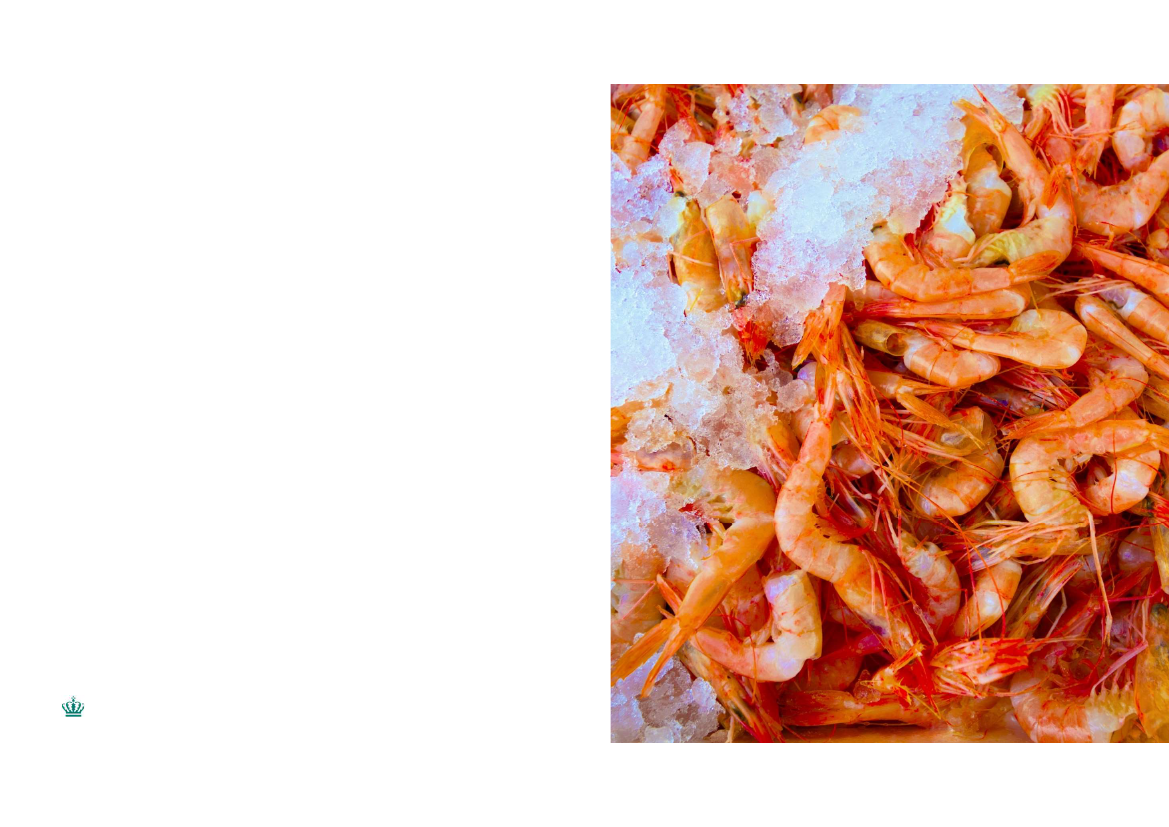 3047603_0003.png