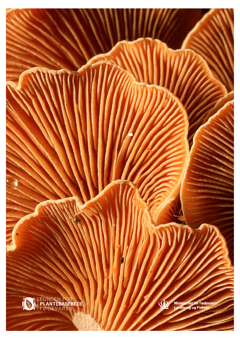 3050153_0001.png