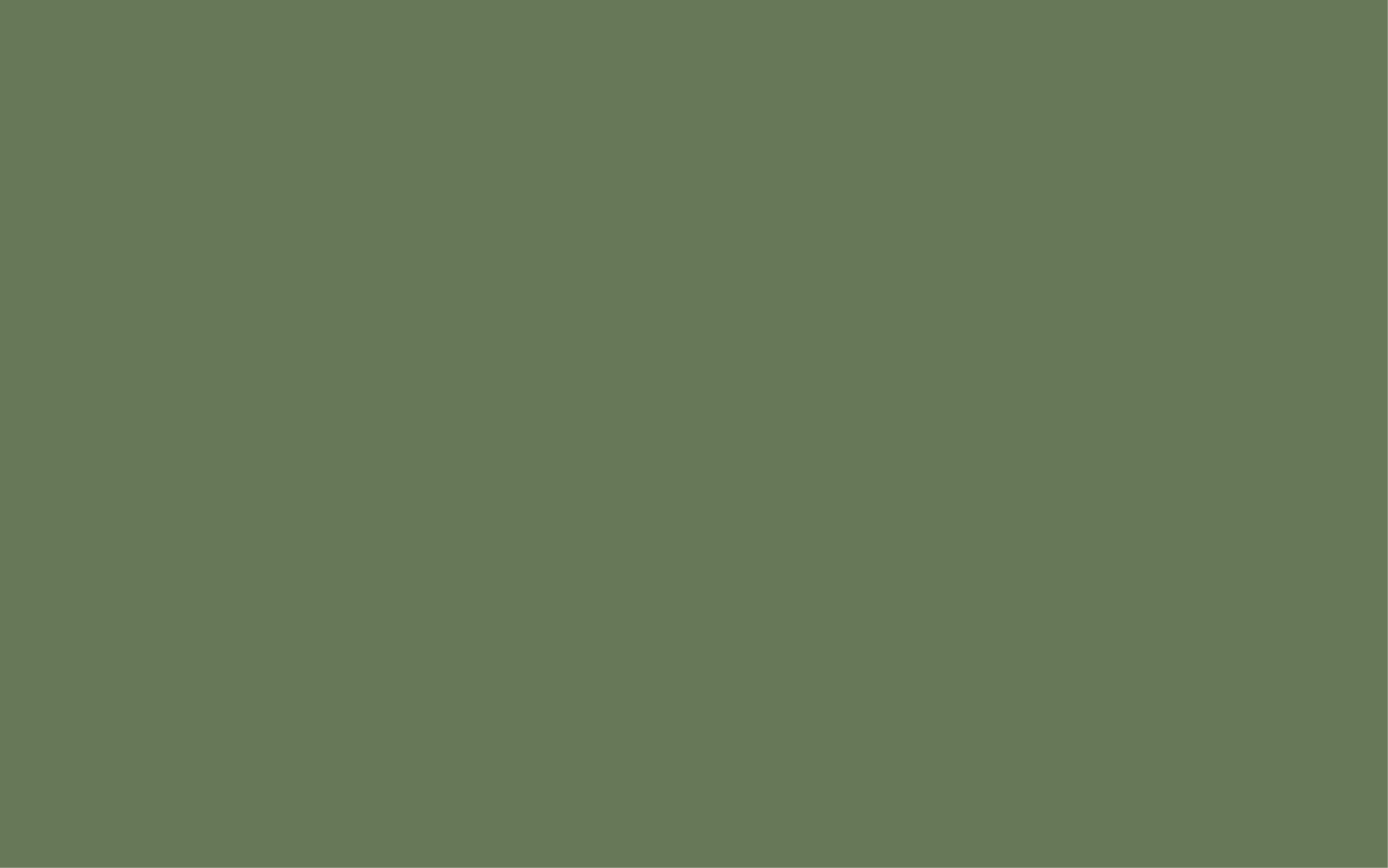 3053814_0004.png