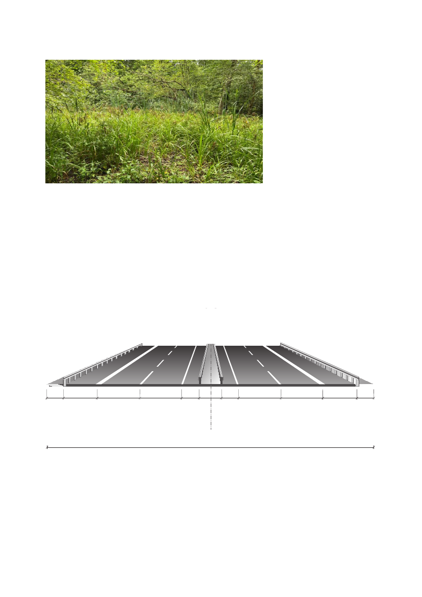 3063587_0015.png