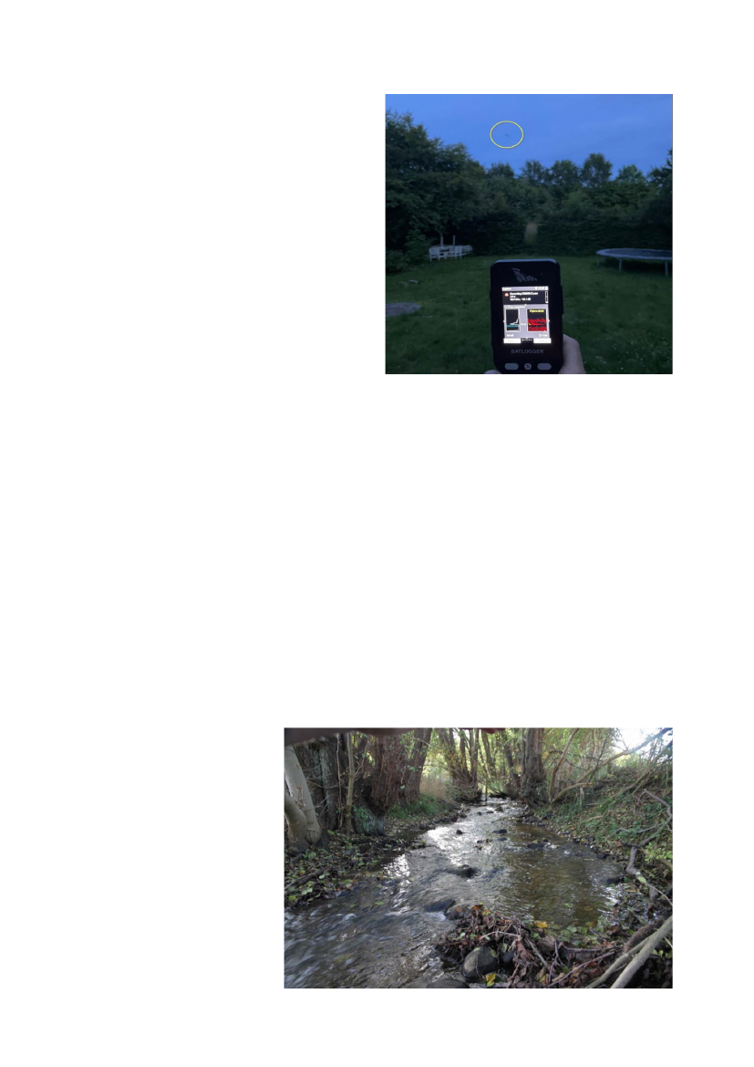 3063587_0025.png