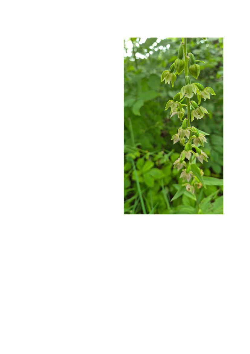 3069066_0012.png
