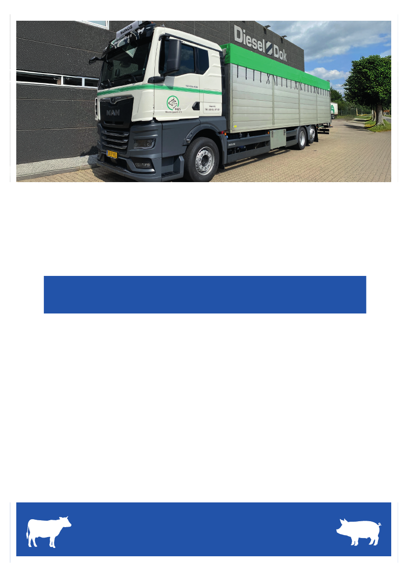 3070346_0001.png
