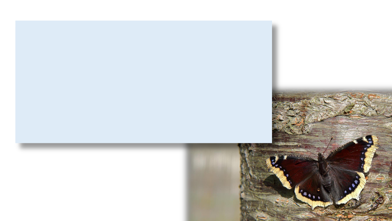 3074622_0033.png
