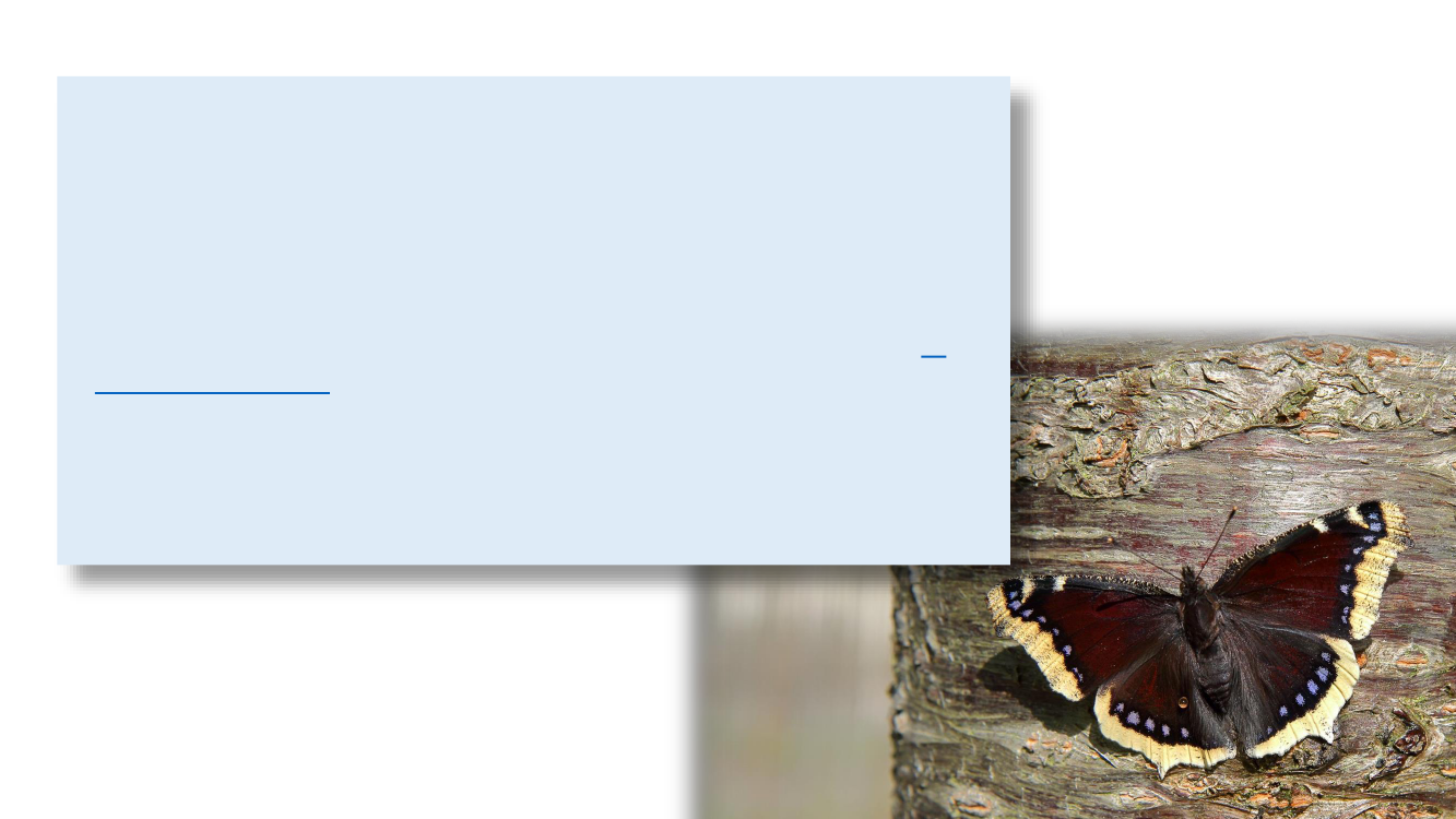 3074622_0038.png