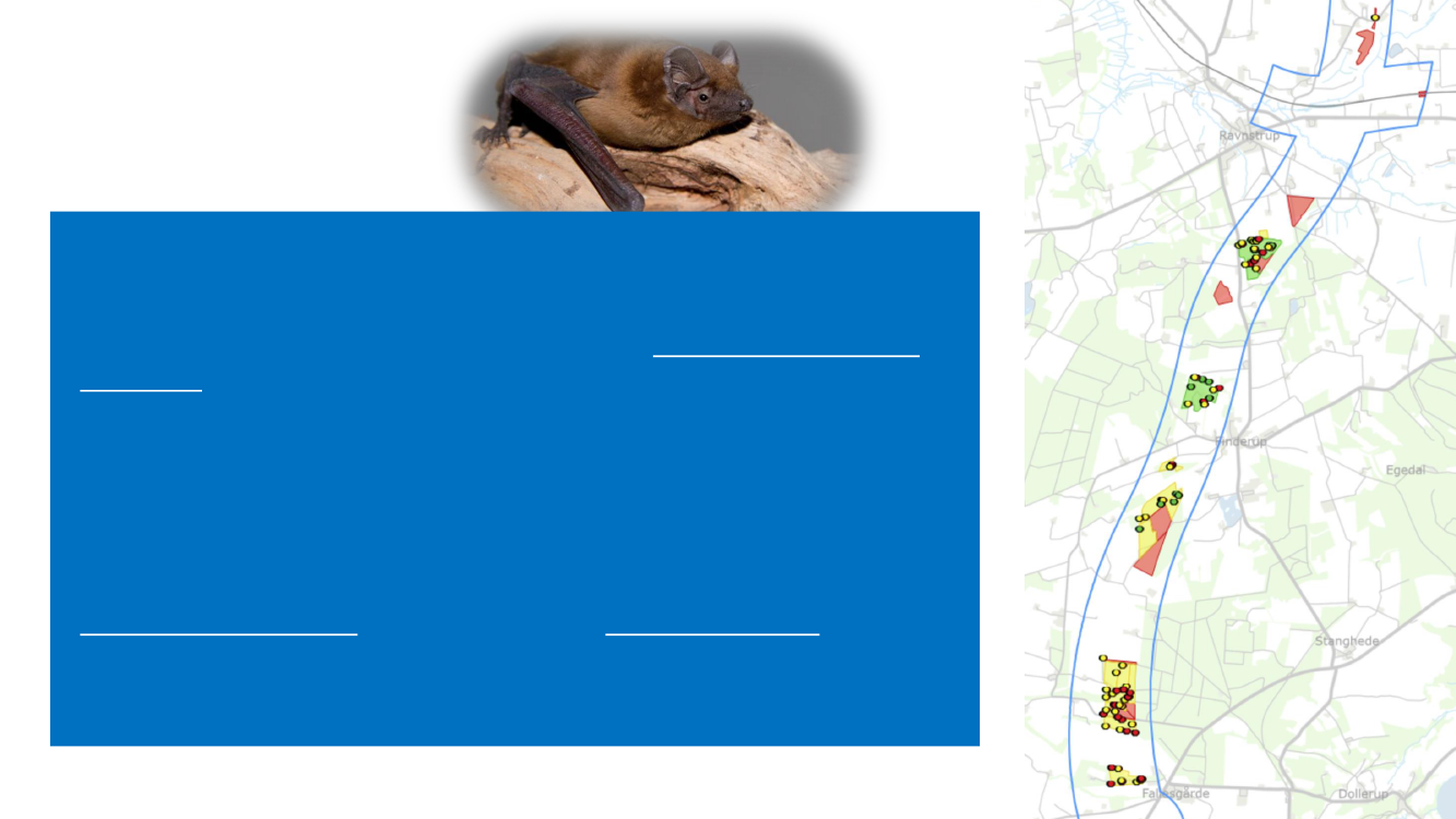 3074641_0036.png