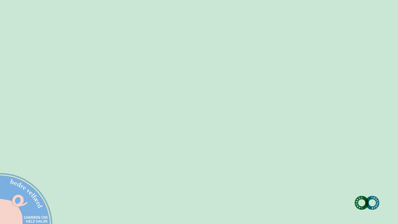 3075777_0005.png