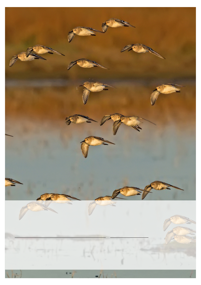 3079826_0001.png