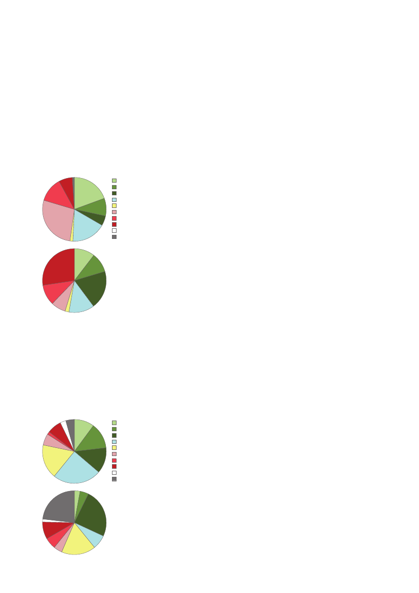 3079826_0013.png
