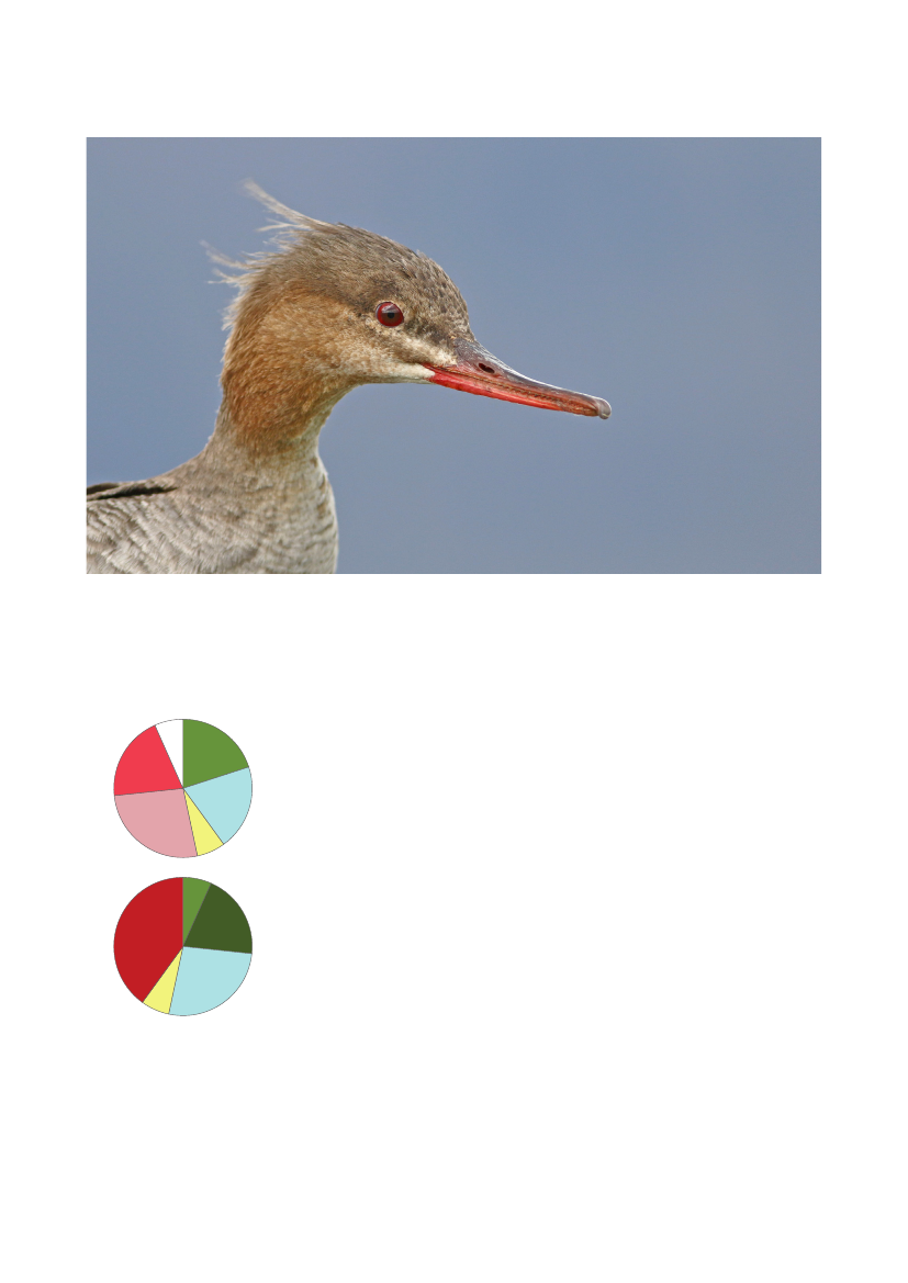 3079826_0016.png