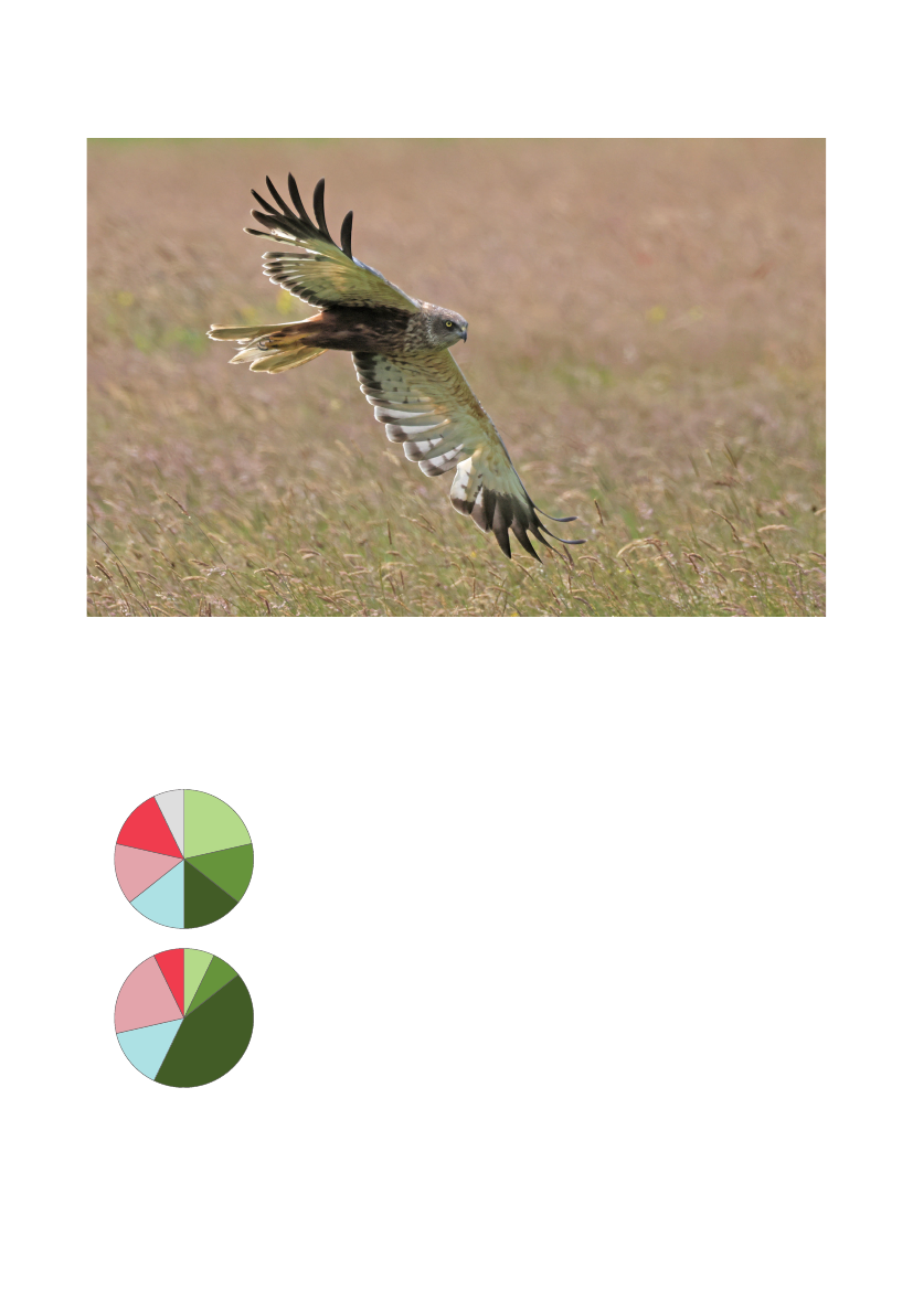 3079826_0020.png