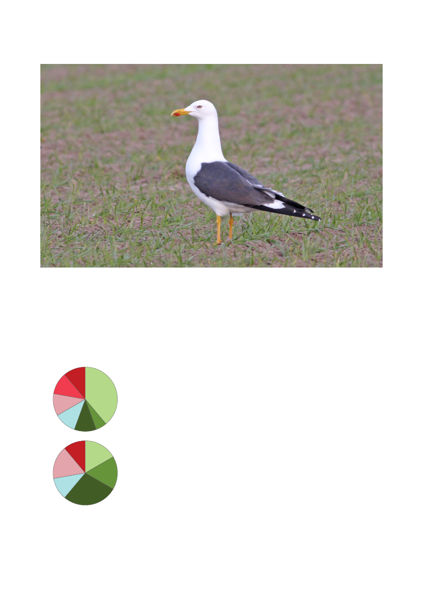 3079826_0024.png