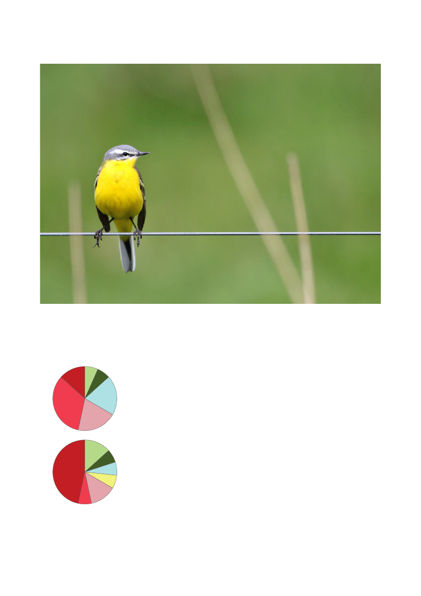 3079826_0030.png