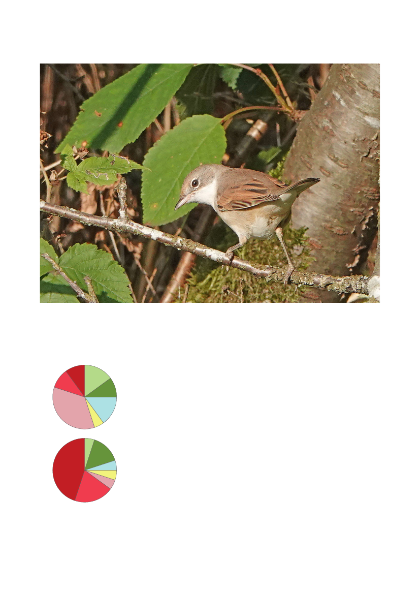 3079826_0034.png