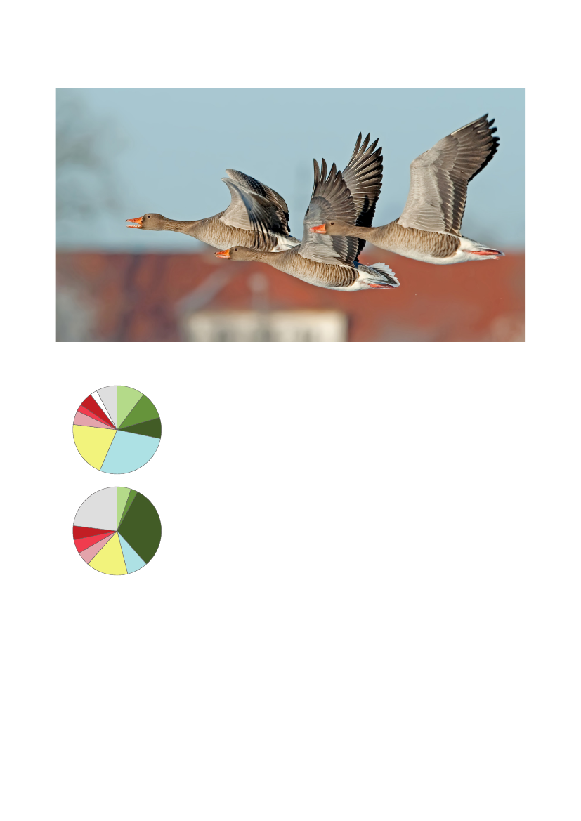 3079826_0042.png