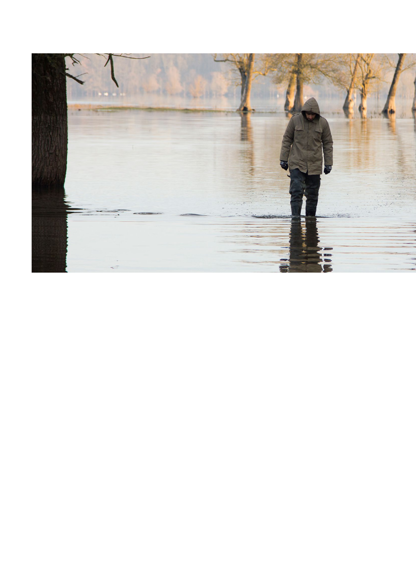 3084909_0008.png