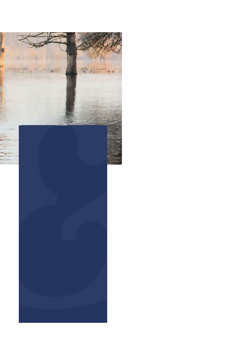 3084909_0009.png
