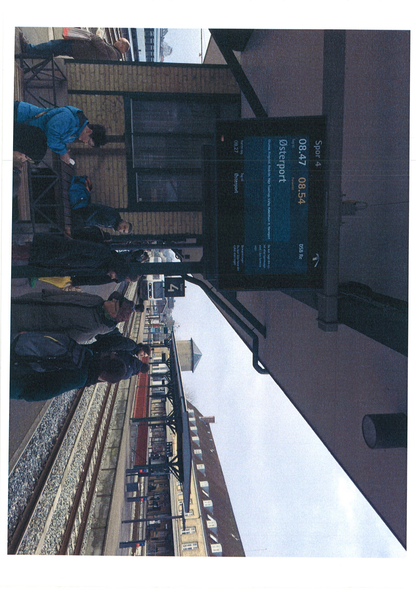 1619258_0001.png